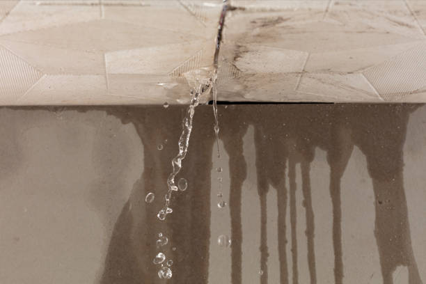 Professional Structural Drying technician working in Petrolia, PA